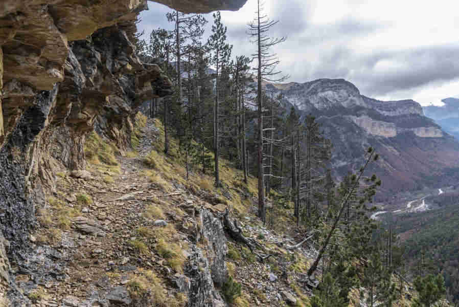 Huesca - parque nacional de Ordesa y Monte Perdido - valle de Ordesa 116 - faja Canarellos.jpg